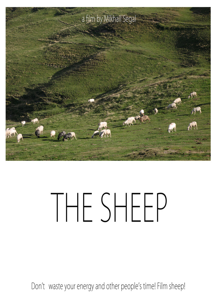Овцы (2010) постер