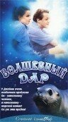 Волшебный дар (2000) постер